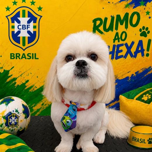 Publicação temática de Copa do Mundo com um shih-tzu tosado